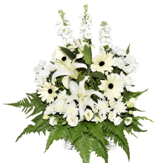 Sincere Wishes