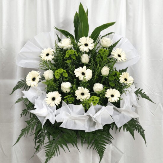 Sympathy 1