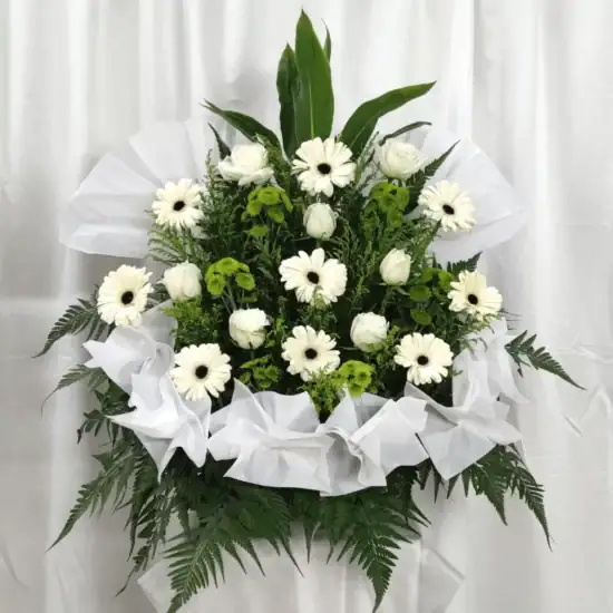 Sympathy 1