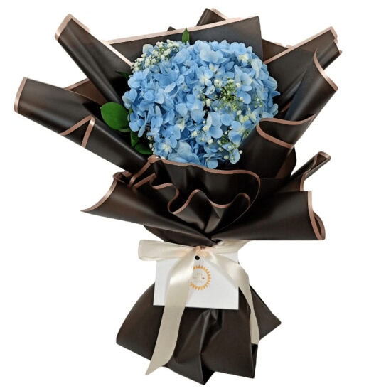 The Blue Hydrangea