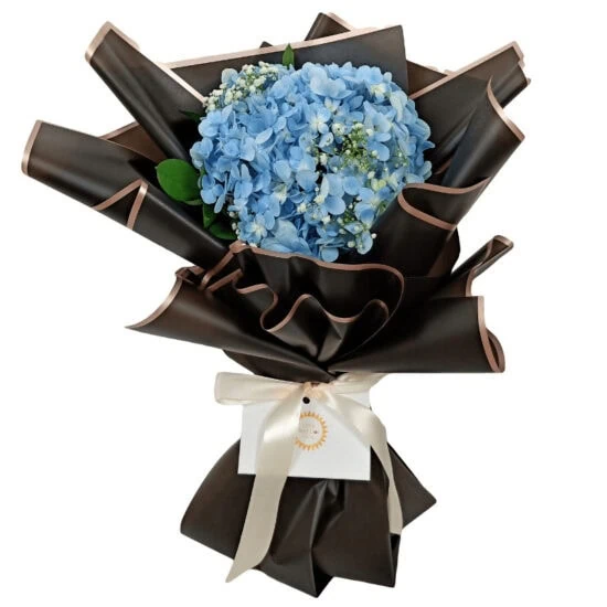 The Blue Hydrangea