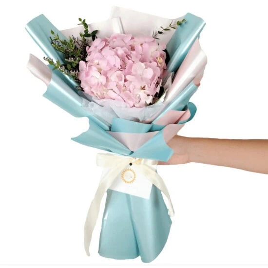 The Pink Hydrangea