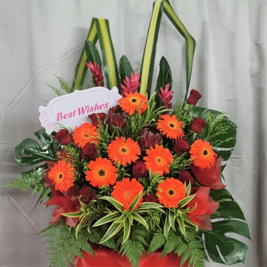 The Red Orange 1