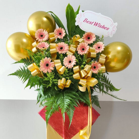 Home 13 The Gold 111122