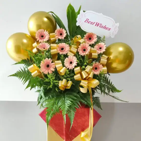 Home 13 The Gold 111122