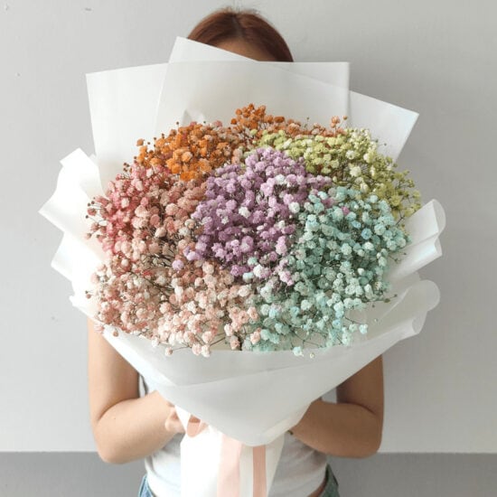 Rainbow Babybreath