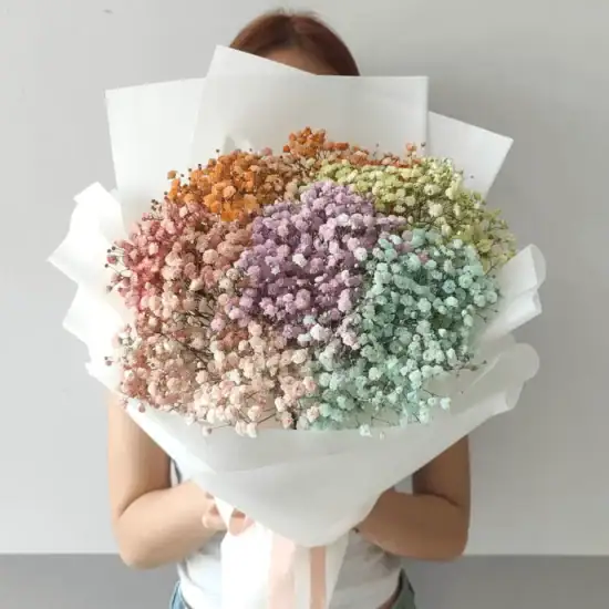 Rainbow Babybreath