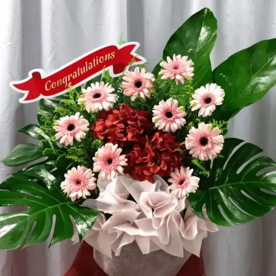 Congratulation