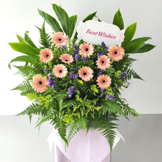 Simply Best Wishes 1