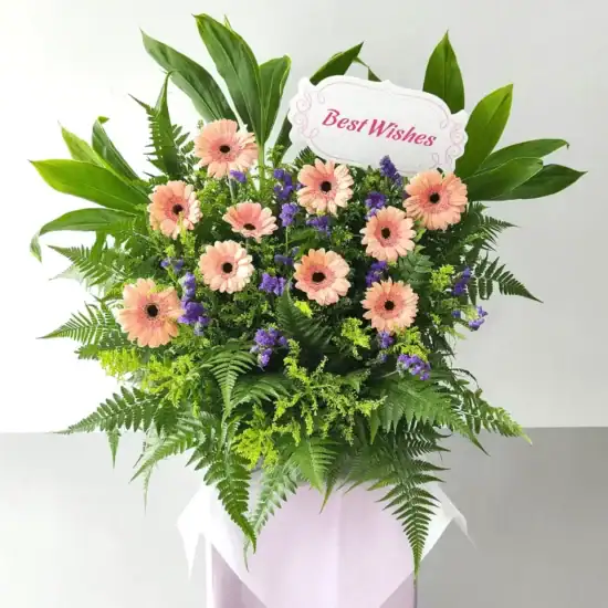 Simply Best Wishes 1