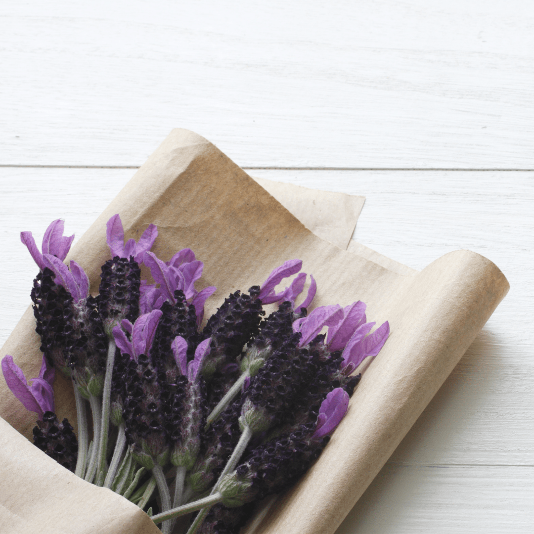 lavenders