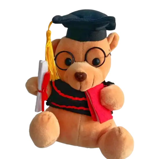 Graduation Bear Singapore