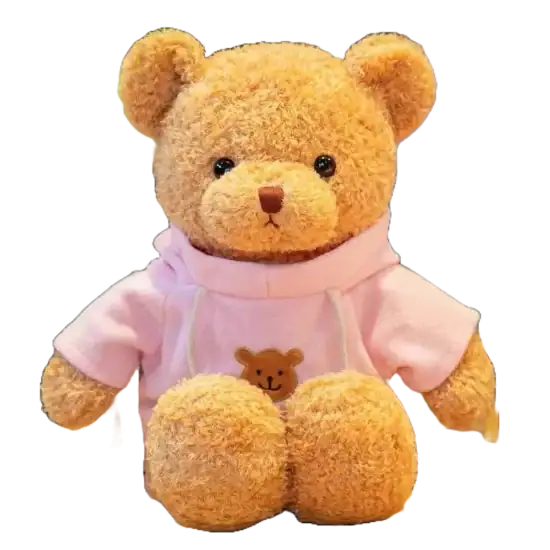 Brown Bear with Pink Shirt