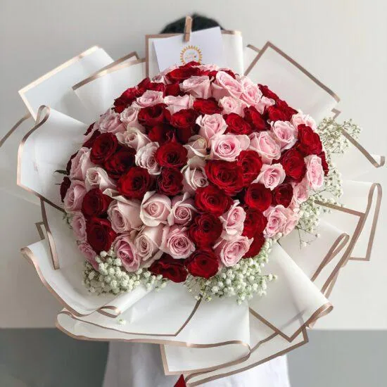 Singapore Mother's Day Flower Delivery - Bouquets for Your Love One 6 99 Roses Red and Pink Singapore Florist