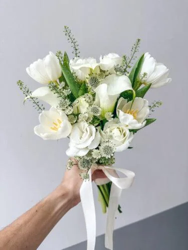 White Tulips White Tulips