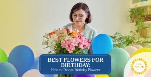 Best Flowers for Birthday How to Choose Birthday Flowers Headline 1640 x 840 Best Flowers for Birthday How to Choose Birthday Flowers Headline 1640 x 840