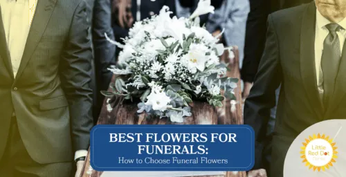 Best Flowers for Funerals How to Choose Funeral Flowers Headline 1640 x 840 Best Flowers for Funerals How to Choose Funeral Flowers Headline 1640 x 840