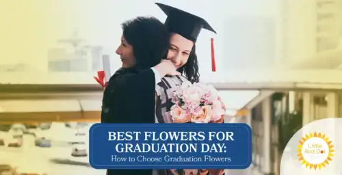 Best Flowers for Graduation How to Choose Graduation Flowers Headline 1640 x 840 Best Flowers for Graduation How to Choose Graduation Flowers Headline 1640 x 840