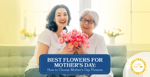Best Flowers for Mother s Day How to Choose Mother s Day Flowers Headline 1640 x 840 Best Flowers for Mother s Day How to Choose Mother s Day Flowers Headline 1640 x 840