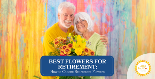 Best Flowers for Retirement How to Choose Retirement Flowers Headline 1640 x 840