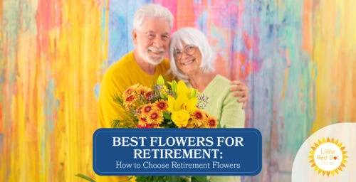 Best Flowers for Retirement How to Choose Retirement Flowers Headline 1640 x 840 Best Flowers for Retirement How to Choose Retirement Flowers Headline 1640 x 840