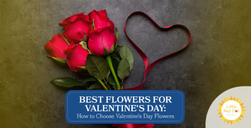 Best Flowers for Valentine s Day How to Choose Valentine s Day Flowers Headline 1640 x 840
