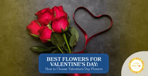 Best Flowers for Valentine s Day How to Choose Valentine s Day Flowers Headline 1640 x 840 Best Flowers for Valentine s Day How to Choose Valentine s Day Flowers Headline 1640 x 840