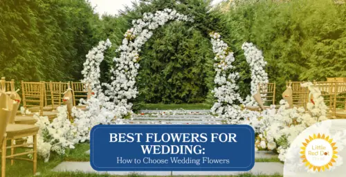 Best Flowers for Wedding: How to Choose Wedding Flowers Best Flowers for Wedding: How to Choose Wedding Flowers