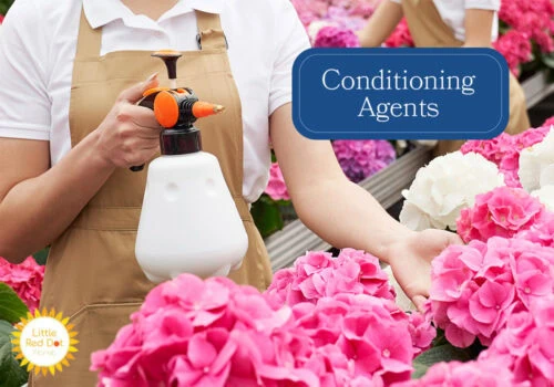 Conditioning Agents Inline 1000 x 700 Conditioning Agents Inline 1000 x 700