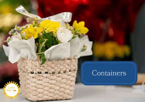 Containers Inline 1000 x 700 Containers Inline 1000 x 700