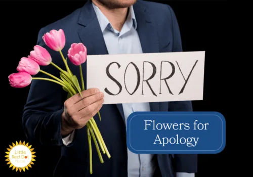 Flowers for Apology H2 1000 x 700 Flowers for Apology H2 1000 x 700