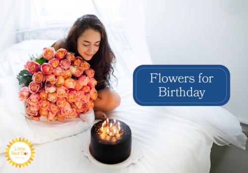 Flowers for Birthday H2 1000 x 700 Flowers for Birthday H2 1000 x 700