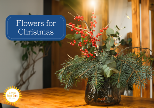Flowers for Christmas H2 1000 x 700 Flowers for Christmas H2 1000 x 700
