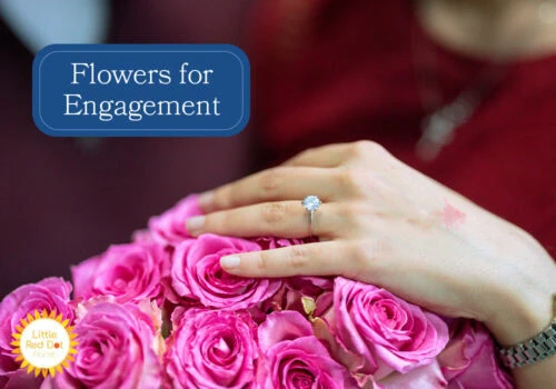 Flowers for Engagement H2 1000 x 700 Flowers for Engagement H2 1000 x 700
