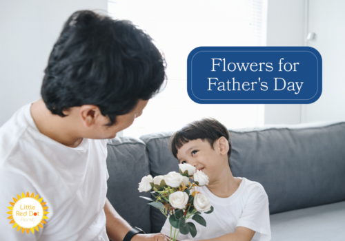 Flowers for Father s Day H2 1000 x 700 Flowers for Father s Day H2 1000 x 700