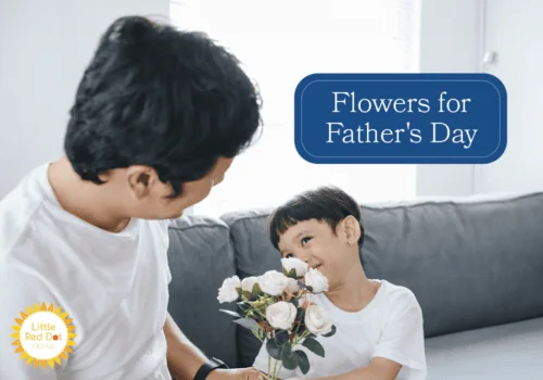 Flowers for Father s Day H2 1000 x 700 Flowers for Father s Day H2 1000 x 700