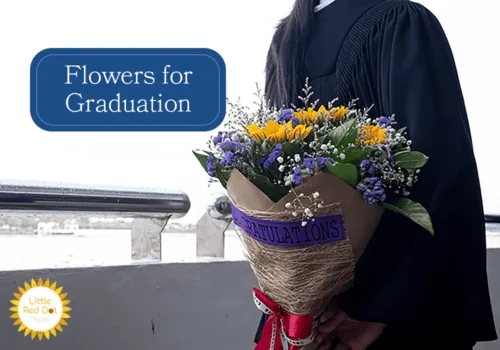 Flowers for Graduation H2 1000 x 700 Flowers for Graduation H2 1000 x 700