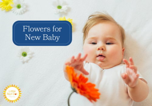 Flowers for New Baby H2 1000 x 700 Flowers for New Baby H2 1000 x 700