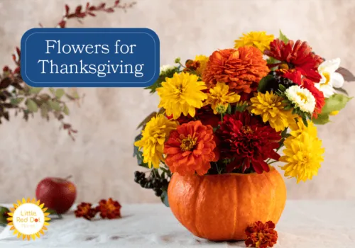 Flowers for Thanksgiving H2 1000 x 700 Flowers for Thanksgiving H2 1000 x 700