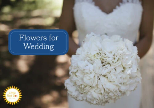 Flowers for Wedding H2 1000 x 700 Flowers for Wedding H2 1000 x 700