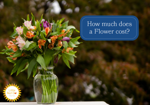 How much does a Flower cost? How much does a Flower cost?
