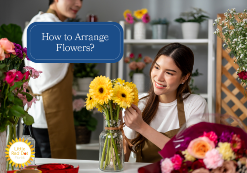 How to Arrange Flowers H2 1000 x 700 How to Arrange Flowers H2 1000 x 700