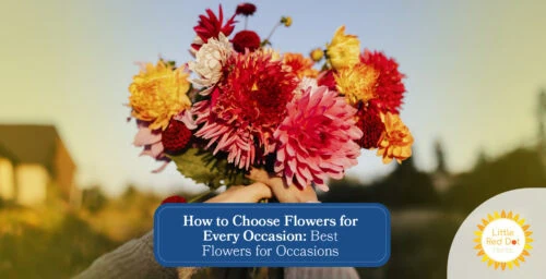 How to Choose Flowers for Every Occasion Best Flowers for Occasions Headline 1640 x 840 How to Choose Flowers for Every Occasion Best Flowers for Occasions Headline 1640 x 840