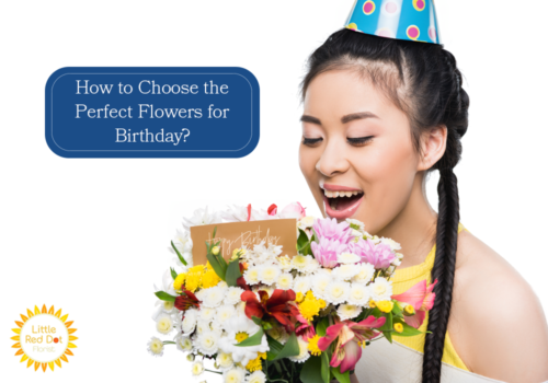 How to Choose the Correct Flowers for Birthday H2 1000 x 700 How to Choose the Correct Flowers for Birthday H2 1000 x 700