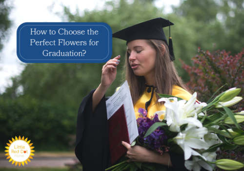 How to Choose the Correct Flowers for Graduation H2 1000 x 700