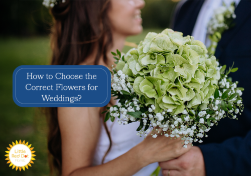 How to Choose the Correct Flowers for Weddings