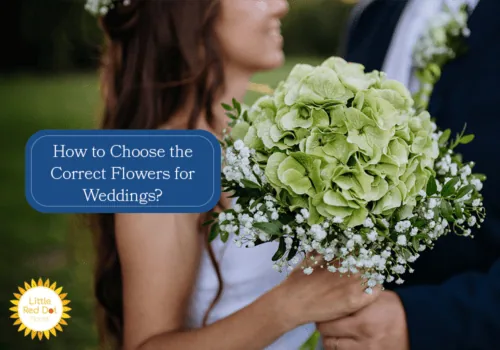 How to Choose the Correct Flowers for Weddings How to Choose the Correct Flowers for Weddings