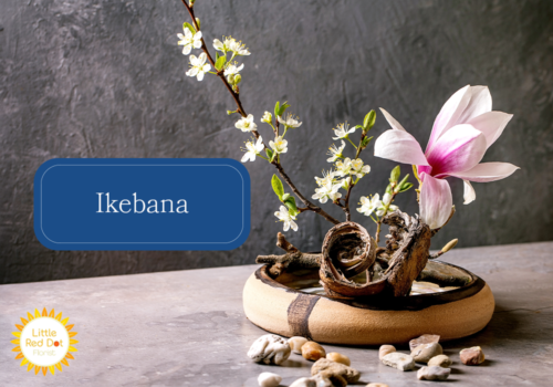 Ikebana Inline 1000 x 700 Ikebana Inline 1000 x 700