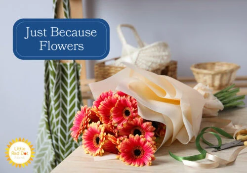 Just Because Flowers H2 1000 x 700 Just Because Flowers H2 1000 x 700