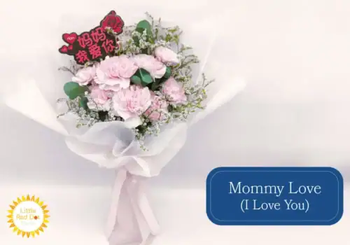 Mommy Love (I Love You) Inline 1000 x 700 Mommy Love (I Love You) Inline 1000 x 700